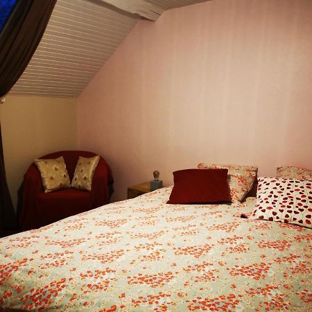 Bed and Breakfast Domaine De L'Esperance, Chambre Rose Bersaillin Exteriér fotografie